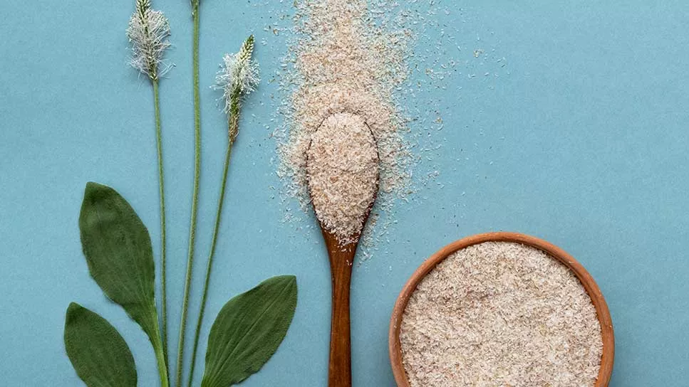 a spoon and bowl full of Psyllium Husk on a blue background