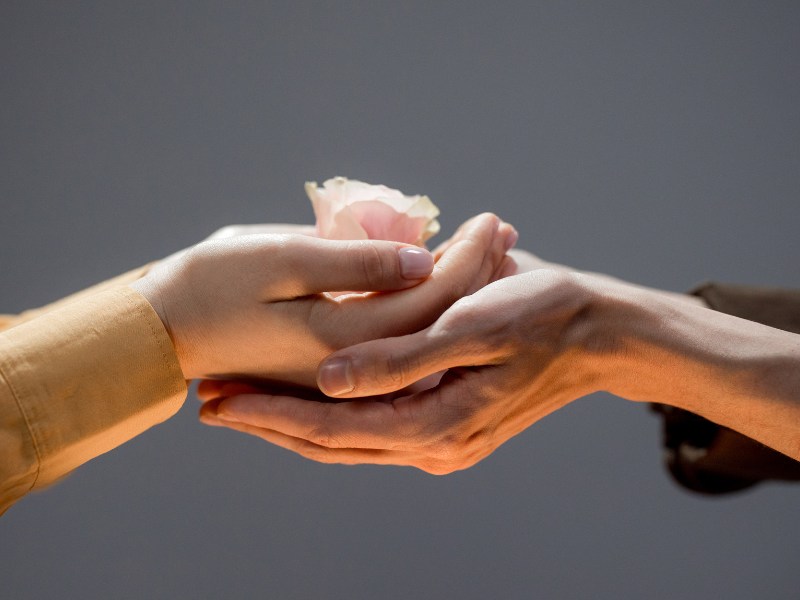 Two hands gently holding a pink rose in soft lighting