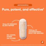 Physicians Choice Ashwagandha capsule with its key ingredients listed on an orange background
